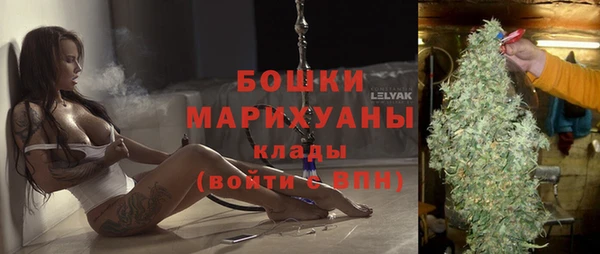 ПСИЛОЦИБИНОВЫЕ ГРИБЫ Горняк