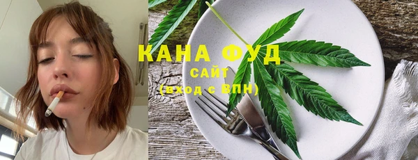 ПСИЛОЦИБИНОВЫЕ ГРИБЫ Горняк