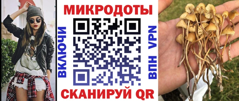 Купить где  Кохма  Галлюциногенные грибы Psilocybine cubensis 